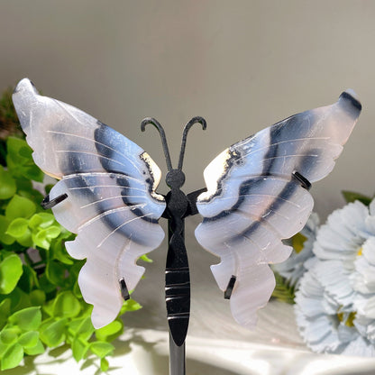 3.5" Black Agate Trolleite Butterfly Wings Carving with Stand Bulk Wholesale