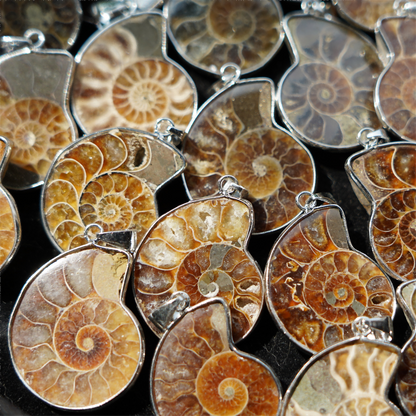 Ammonite Key Chain Ammonite Pendant Bulk Wholesale