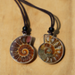 Ammonite Key Chain Ammonite Pendant Bulk Wholesale