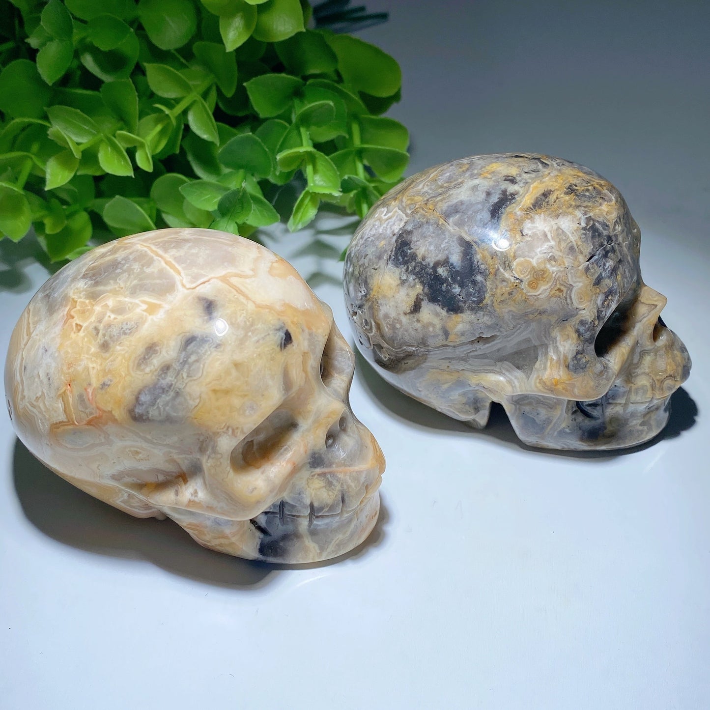 3.2" Crazy Agate Skull Bulk Wholesale