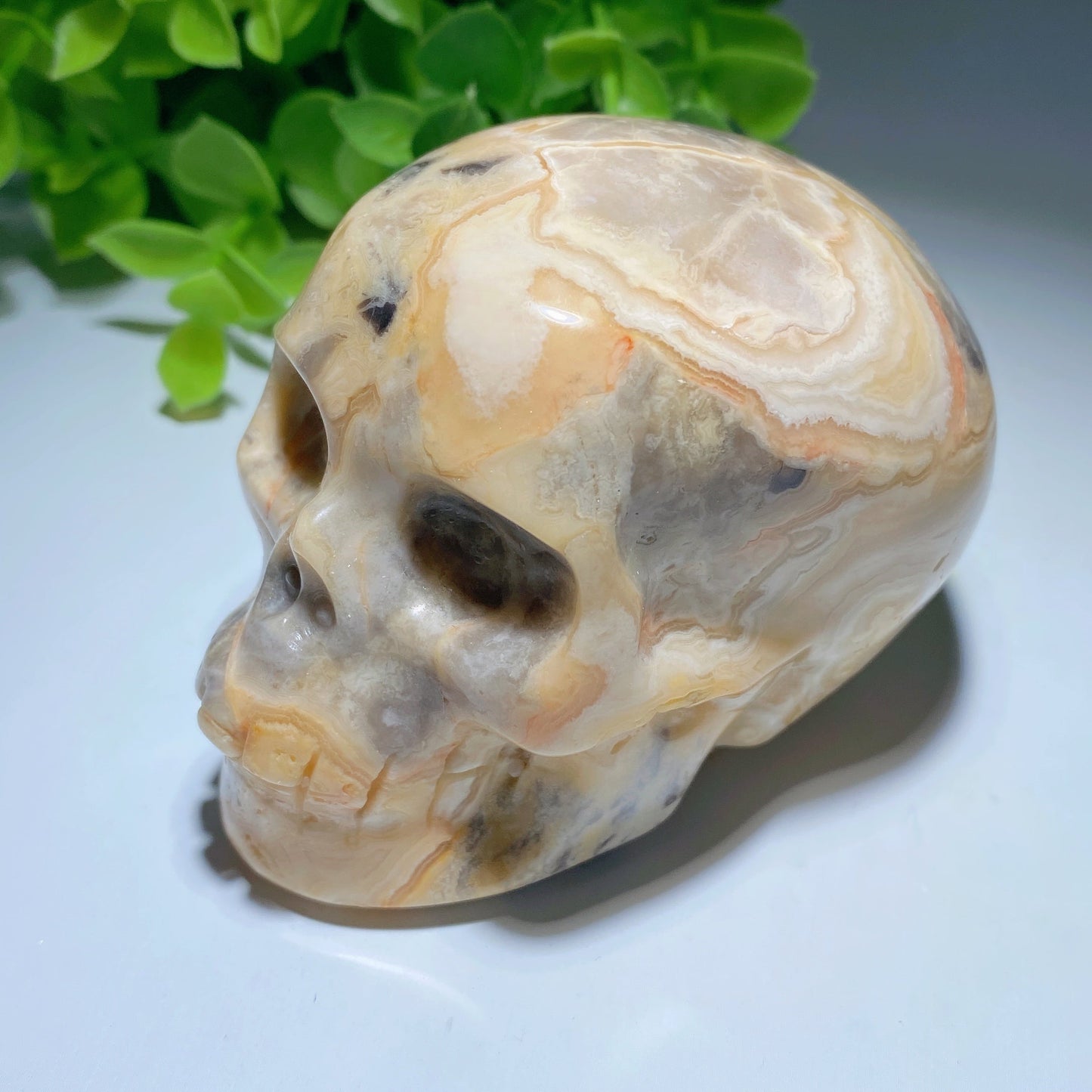 3.2" Crazy Agate Skull Bulk Wholesale