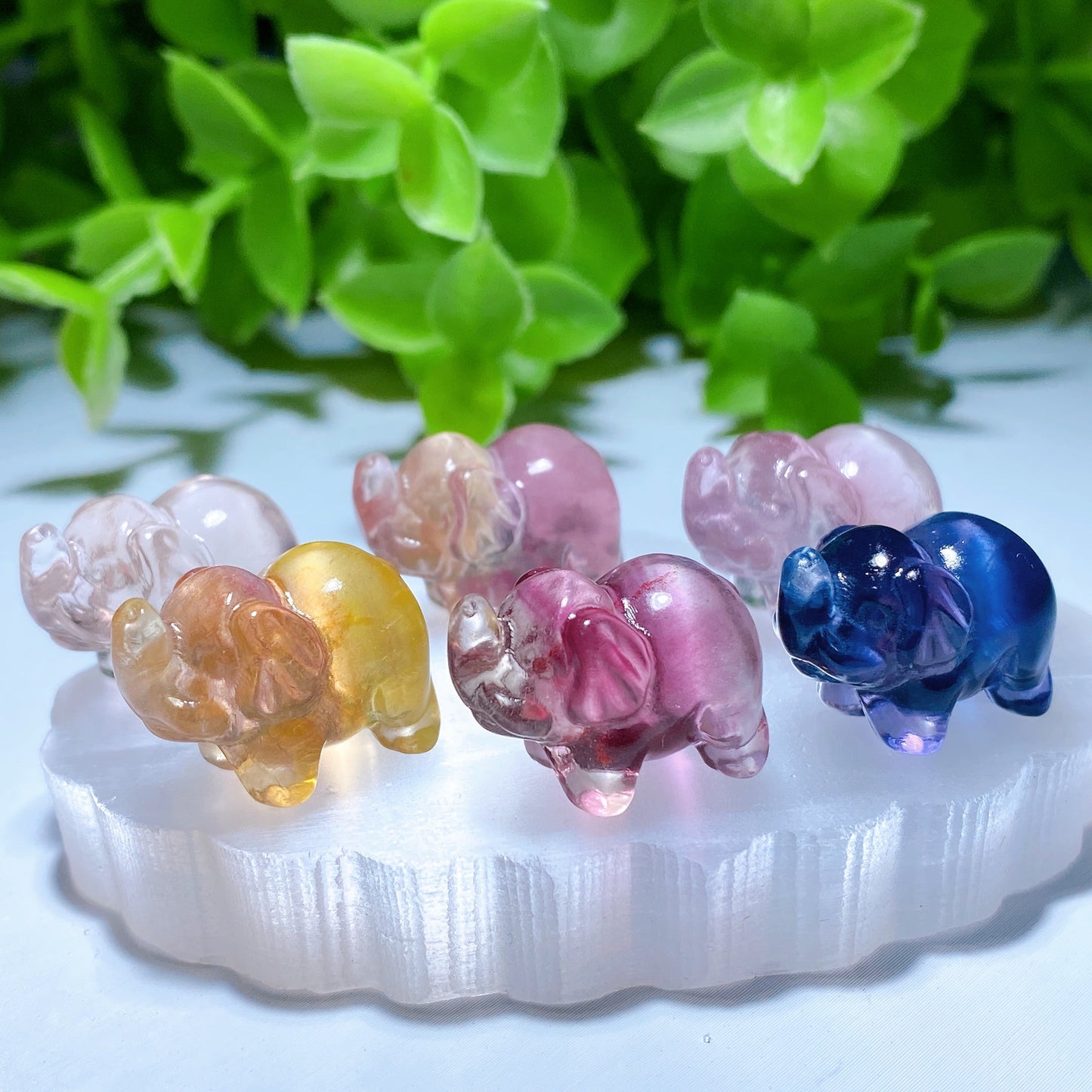 Mini Fluorite Animal Carvings Bulk Wholesale