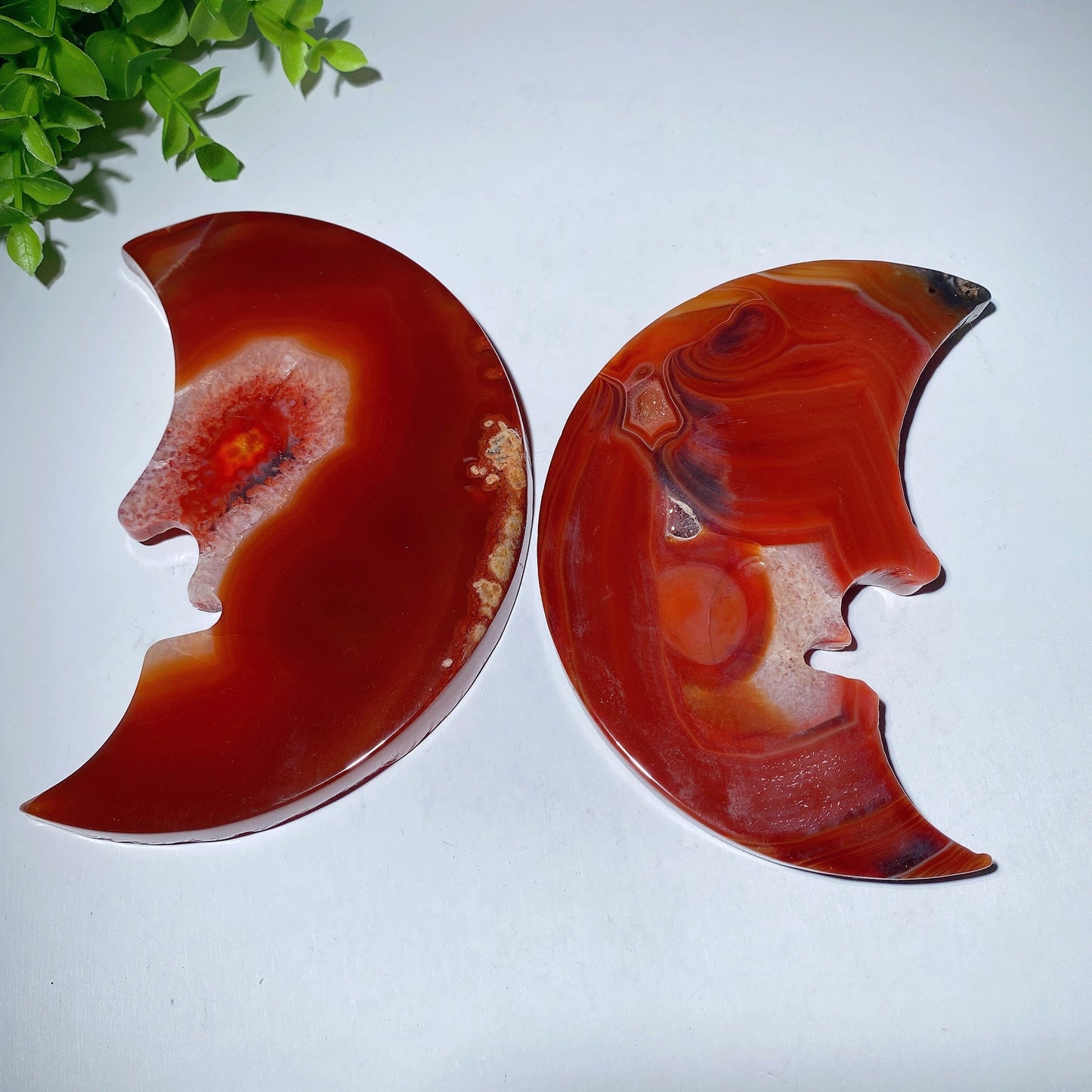 5.0" Druzy Carnelian Moon Carving with Stand Bulk Wholesale