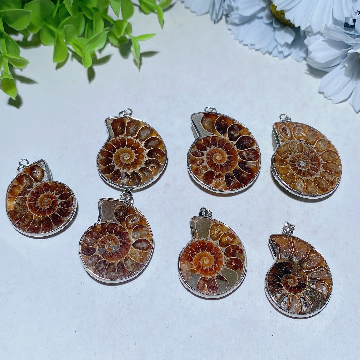 1.3"-1.6" Ammonite Pendant Bulk Wholesale