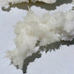 Selenite Growing with Calcite Specimen Bulk Wholesale