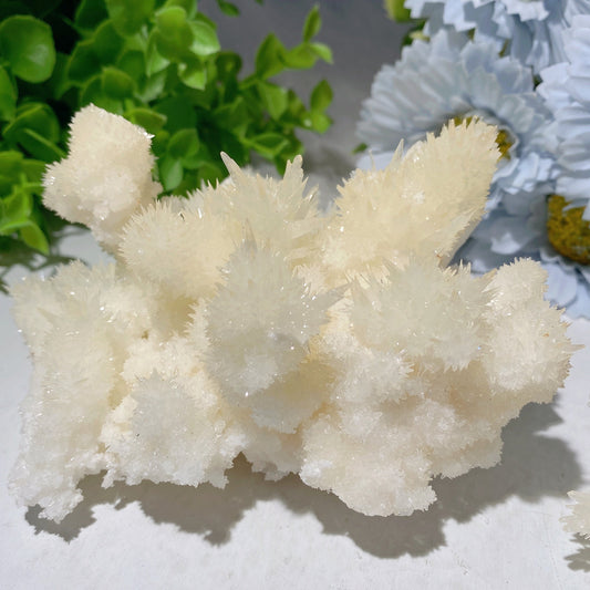 Selenite Growing with Calcite Specimen Bulk Wholesale