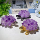 4.3" Amethyst Clusters Tortoise Free Form Bulk Wholesale