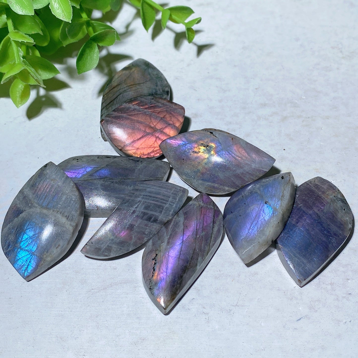 1.0"-2.0" Labradorite Palm Stone Bulk Wholesale