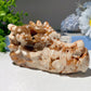 4.6" Chocolate Calcite Dragon Head Carvings Bulk Wholesale