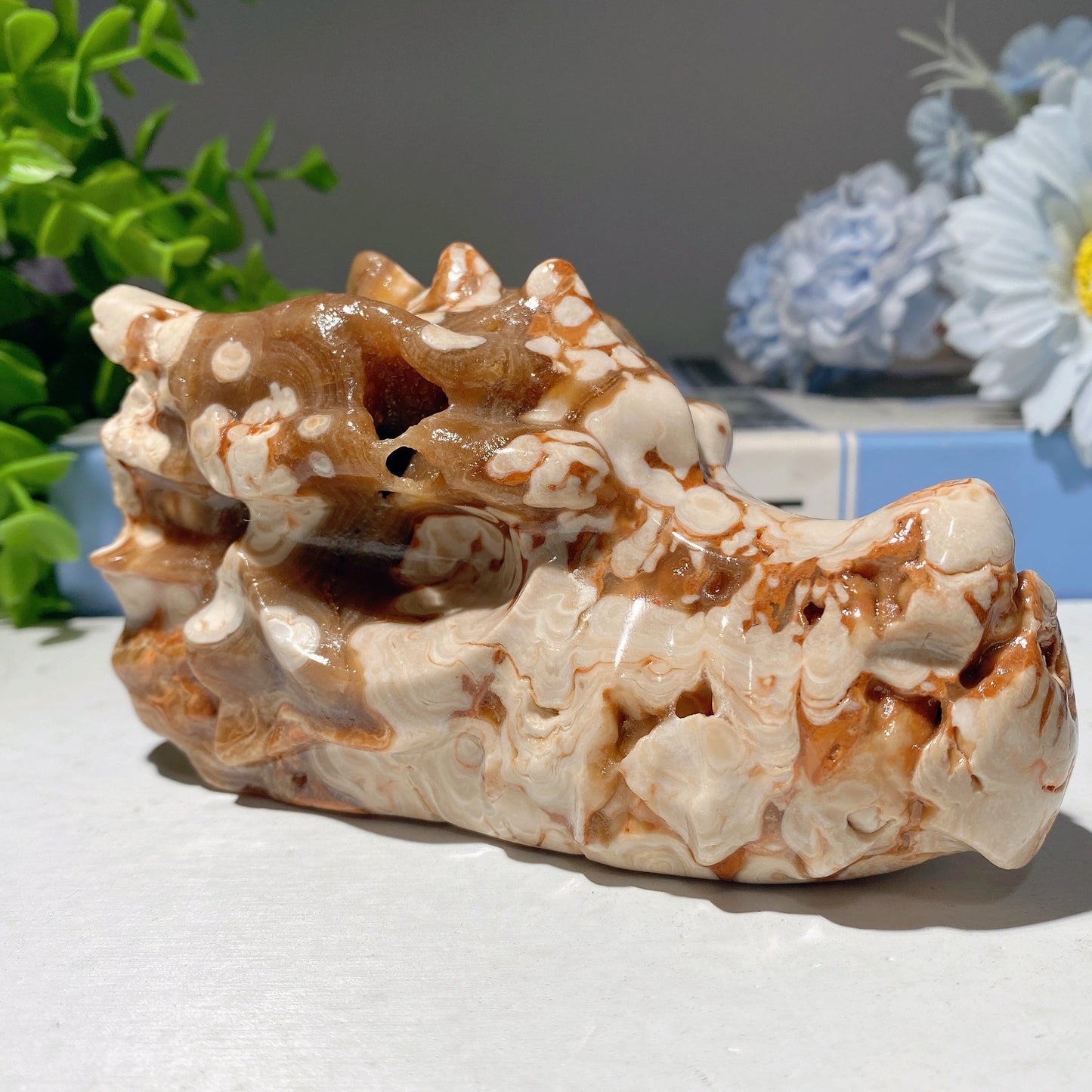 4.6" Chocolate Calcite Dragon Head Carvings Bulk Wholesale