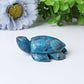 2.3" Blue Apatite Sea Turtle Crystal Carvings Wholesale Crystals