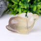 2.5" Fluorite Dolphin Crystal Carvings Wholesale Crystals