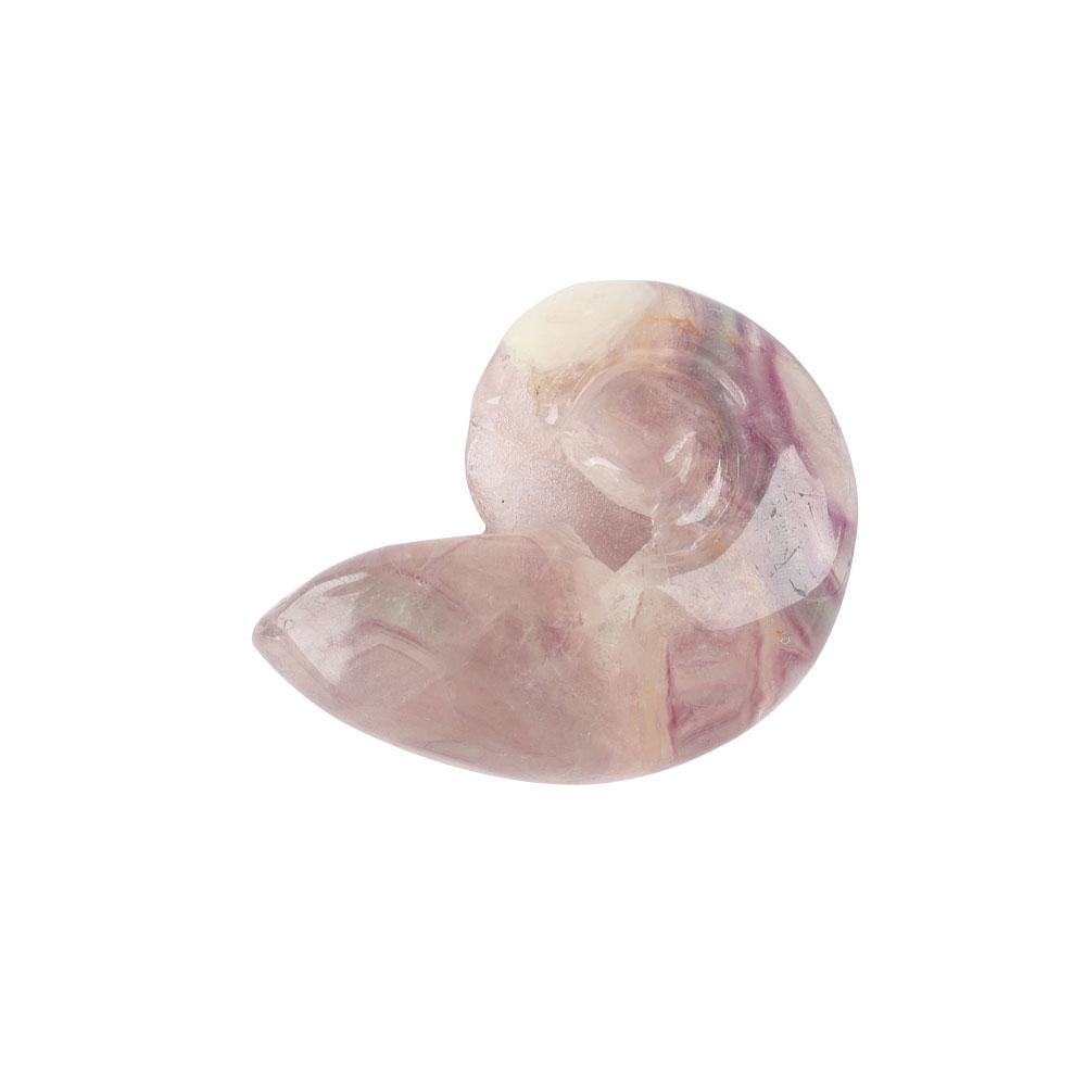 Fluorite Snail Shell Carving Wholesale Crystals