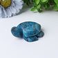 2.3" Blue Apatite Sea Turtle Crystal Carvings Wholesale Crystals