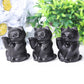 2" Black Obsidian Cute Cat Crystal Carvings for Halloween Wholesale Crystals