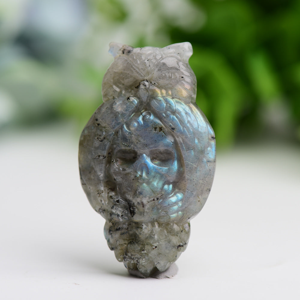 2.1" Labradorite Owl with Skull Dec Crystal Carving  Wholesale Crystals