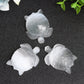 1.8" Selenite Turtle Crystal Carving Bulk Wholesale  Wholesale Crystals