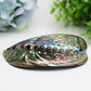 5.0" Aura Shell Free Form  Wholesale Crystals