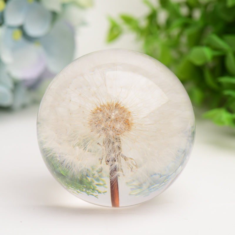 2.6" Resin Sphere with Dandelion Inside Bulk Wholesale  Wholesale Crystals