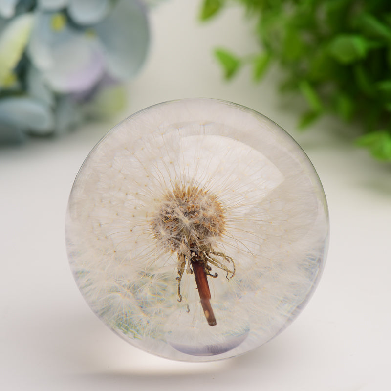 2.6" Resin Sphere with Dandelion Inside Bulk Wholesale  Wholesale Crystals