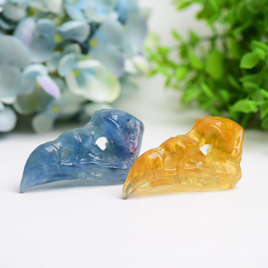 3.0" Fluorite Raven Skull Crystal Carving Bulk Wholesale  Wholesale Crystals