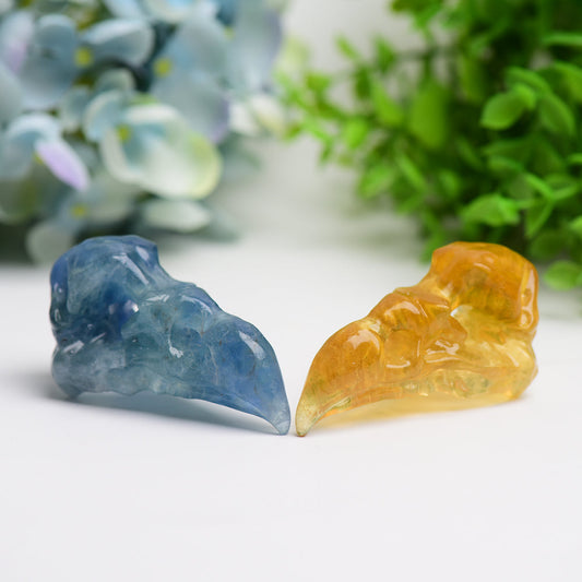 3.0" Fluorite Raven Skull Crystal Carving Bulk Wholesale  Wholesale Crystals