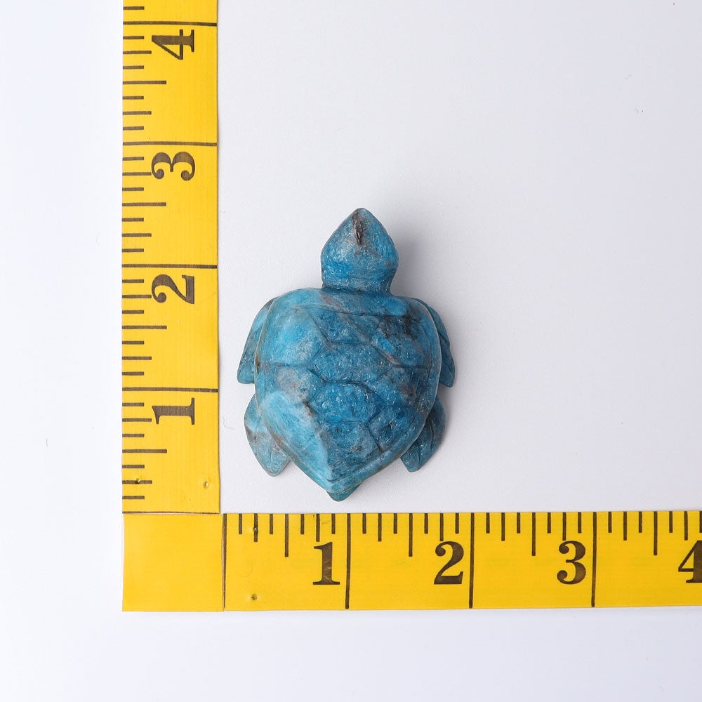 2.3" Blue Apatite Sea Turtle Crystal Carvings Wholesale Crystals