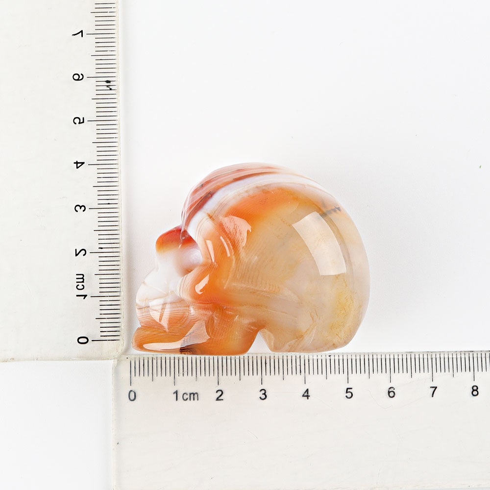 2" Sardonyx Skull Crystal Carvings Wholesale Crystals