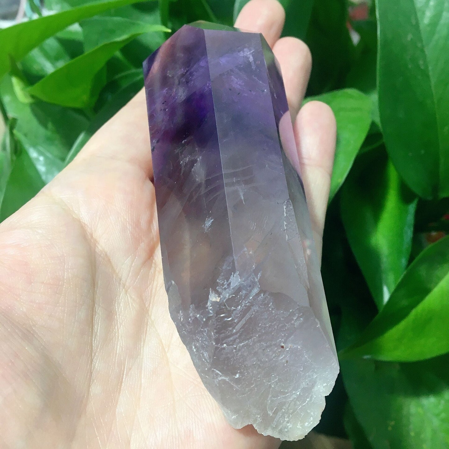 4.6" Dark Purple Amethyst Point Half Polished #7 Wholesale Crystals