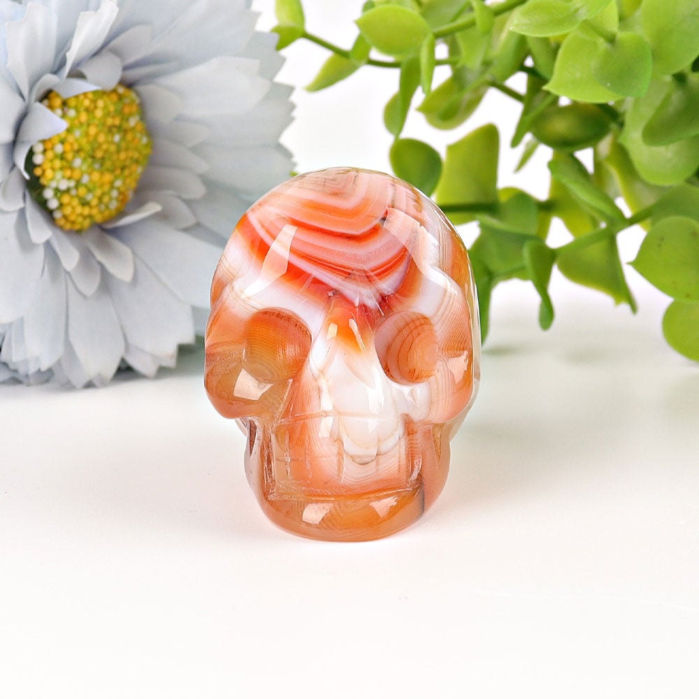 2" Sardonyx Skull Crystal Carvings Wholesale Crystals