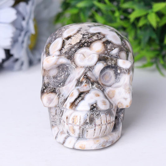 Ocean Jasper Crystal Skull Carvings Wholesale Crystals